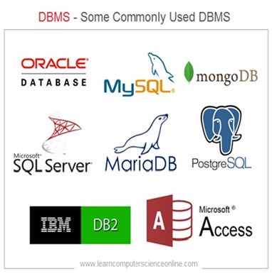 how to learn database 2026