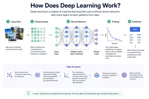 How Does Deep Learning Work
